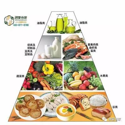 吃得好不等于营养好 揭秘豆类与薯类的营养密码